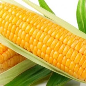 Кукуруза Желтый Амарилло