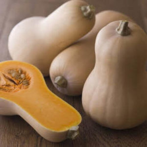 Тыква Бутернут (Butternut)