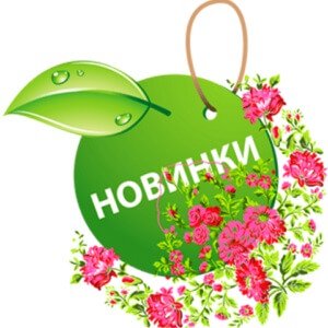 Новинки