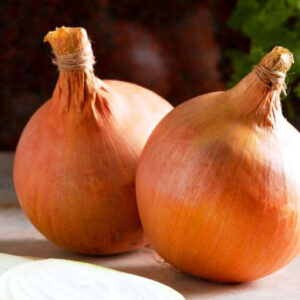 Лук Желтый Стурон