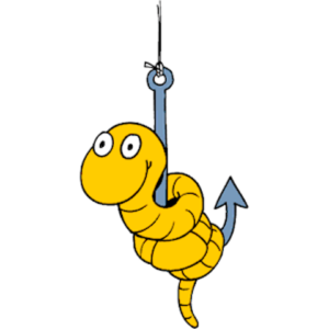 Наживки та насадки