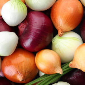Лук Основные цвета
