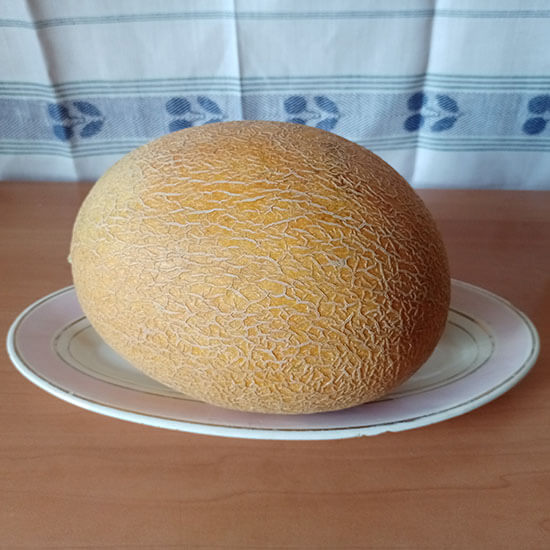 Дыня Амал. на тарелке