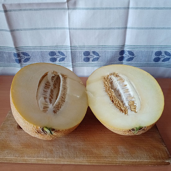 Дыня Амал.в разрезе