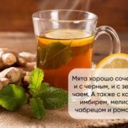 Мята использование Мята использование