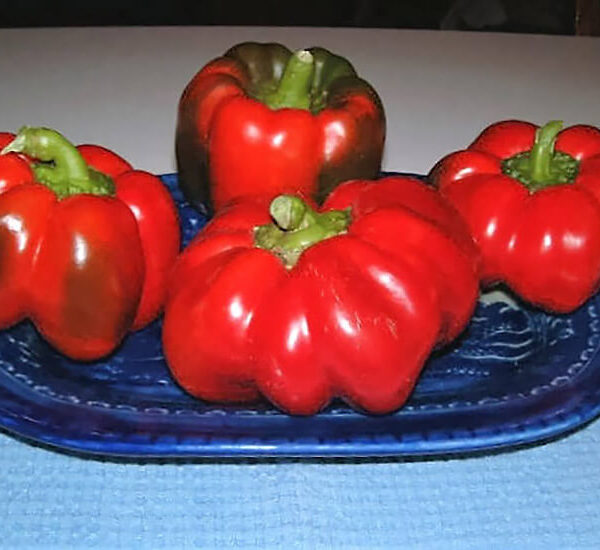 Перец Пимьенто Сыр