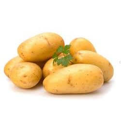 Насіннєва картопля