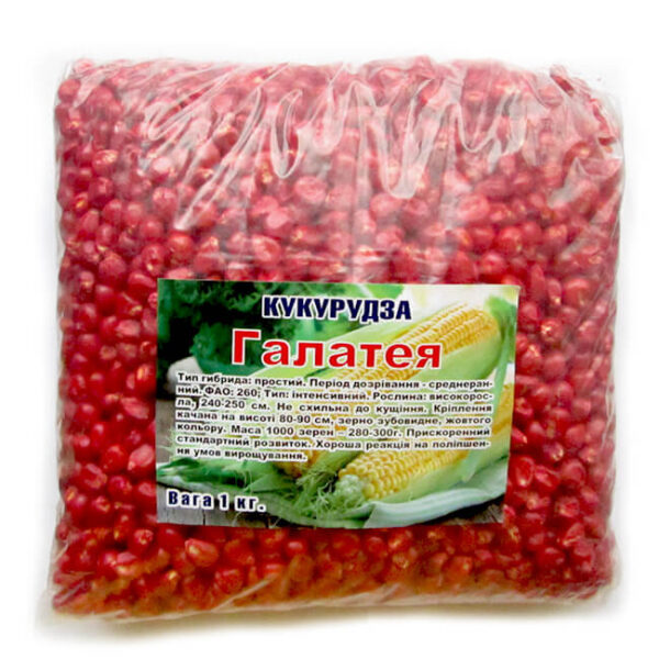 Кукуруза кормовая Галатея Кукуруза кормовая Галатея