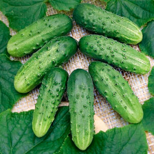 Огурцы Зеленые пальчики