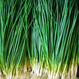 Лук на зелень Хешико Лук на зелень Хешико