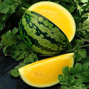 Арбуз Оранж Кинг F1 Арбуз Оранж Кинг F1