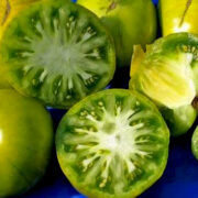 Томат Большой Киви купить Томат Большой Киви купить