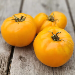 Томат Гном Сладкая Сью Томат Гном Сладкая Сью