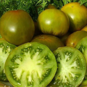 Томат Изумрудное яблоко Томат Изумрудное яблоко